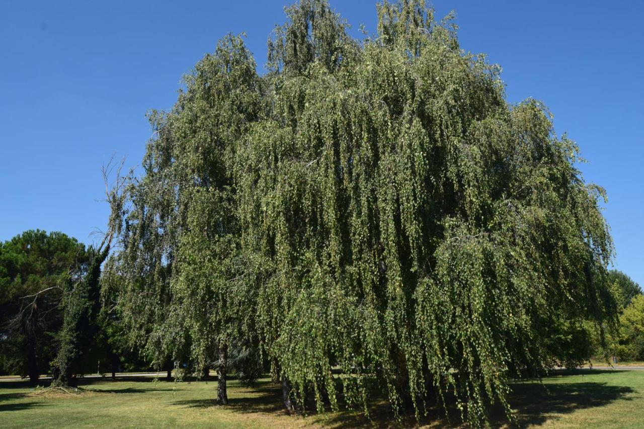 ブスト・アルシーツィオAl Salice Tranquillita Nel Verde Via Amendola 24アパートメント エクステリア 写真